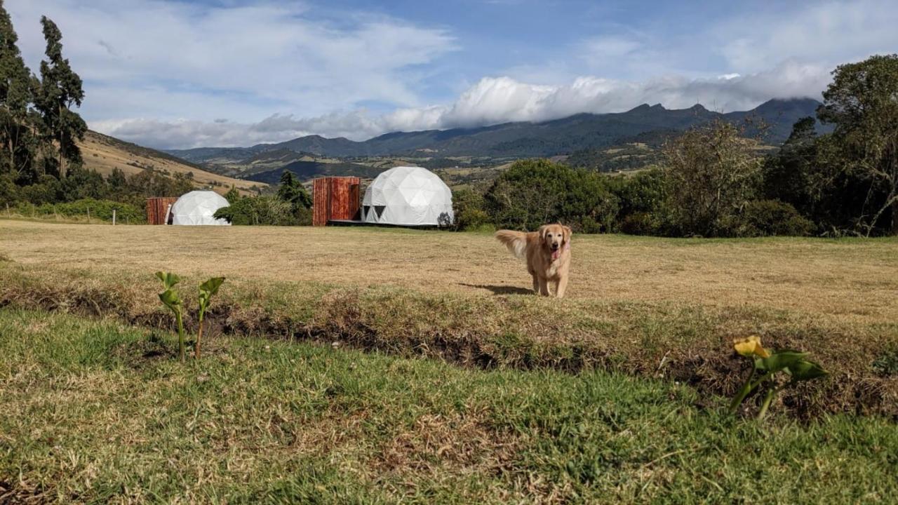 Hotel La Meca Glamping Guasca Exterior foto